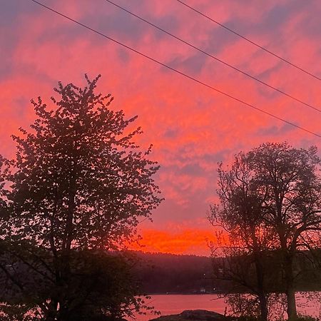 Hyttelaven Pa Furuholmen Sarpsborg Exteriör bild