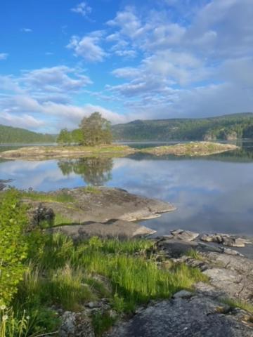 Hyttelaven Pa Furuholmen Sarpsborg Exteriör bild