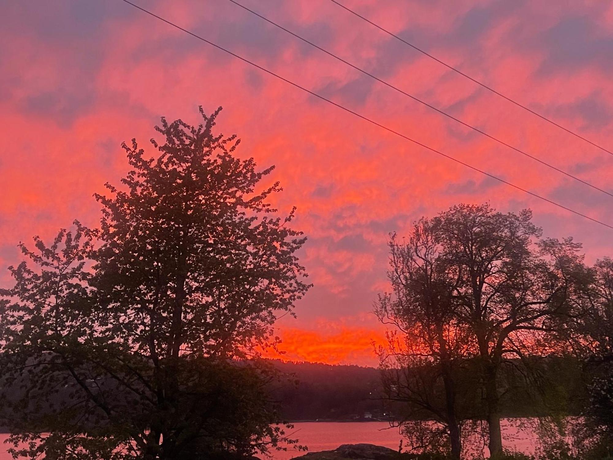 Hyttelaven Pa Furuholmen Sarpsborg Exteriör bild